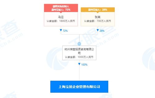 馬云關聯企業全資控股寶恩企業管理，釋放何種市場信號？
